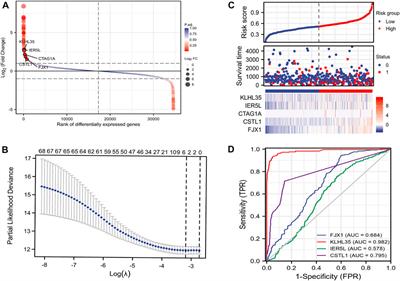 Multi-Omics Analysis of the Tumor Microenvironment in Liver Metastasis of Colorectal Cancer Identified FJX1 as a Novel Biomarker